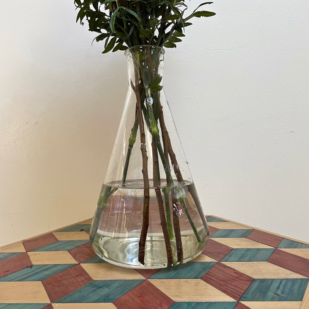Carafe-de-chimie-2000ml-Maison-Liedekerke_2.jpg