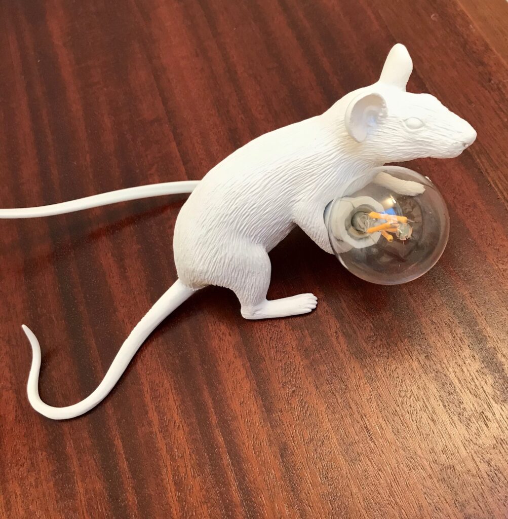 Souris-Seletti-4-pattes-vue-ciel_Maison_Liedekerke_maison-lk.jpg