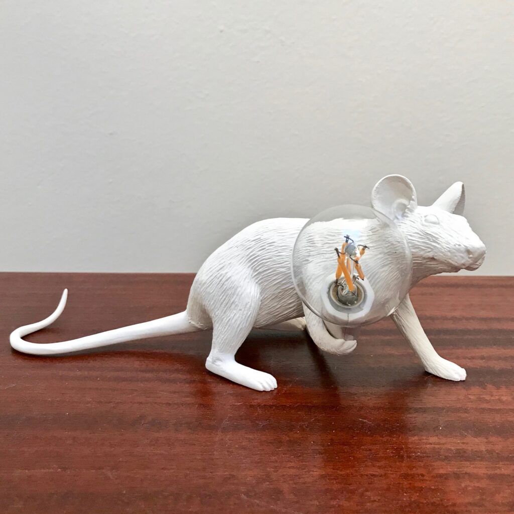 Souris-Seletti-4-pattes_Maison_Liedekerke_maison-lk.jpg