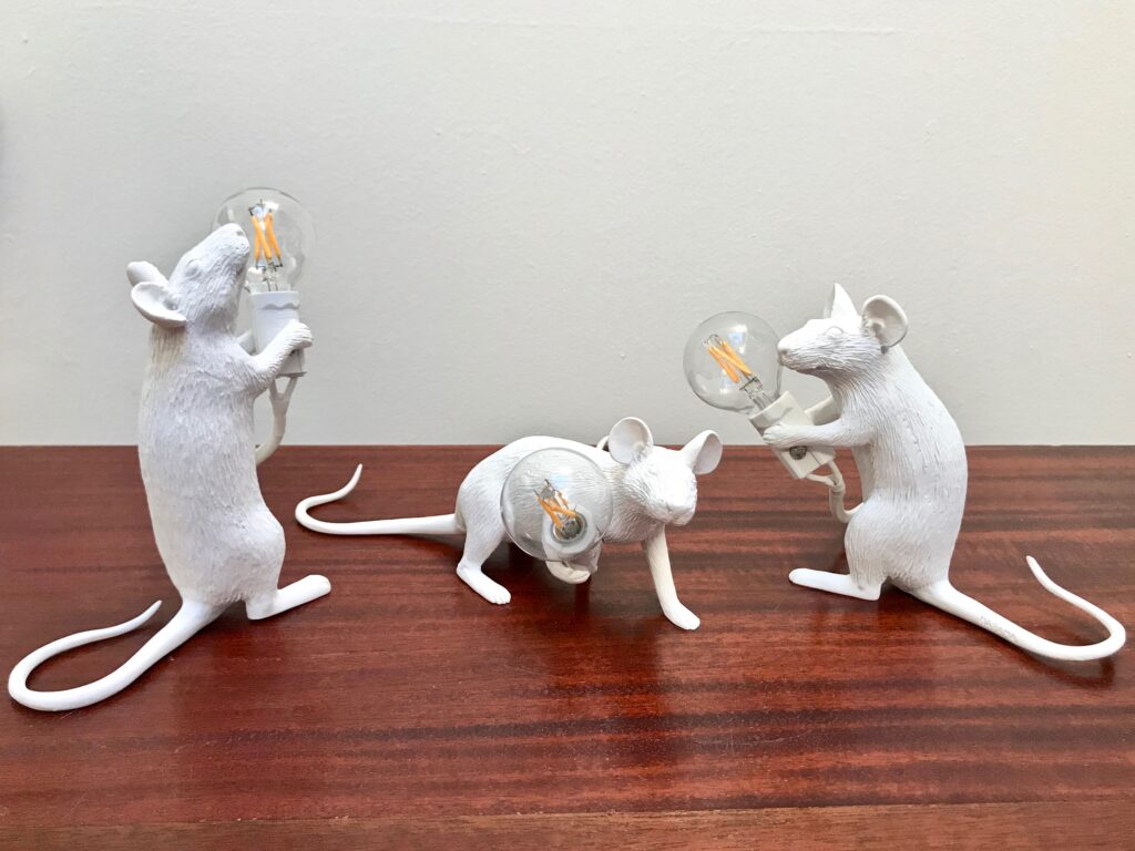 Souris-Seletti-groupe_Maison_Liedekerke_maison-lk.jpg